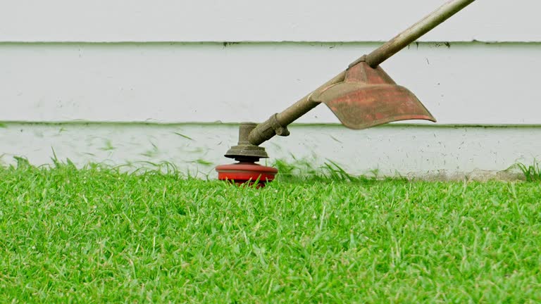 Best Soil Testing and Treatment  in Sky Valley, CA