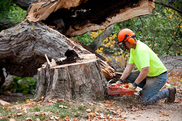Best Lawn Grading and Leveling  in Sky Valley, CA